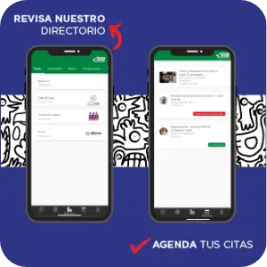 Desarrollo de Apps Móviles - dtona